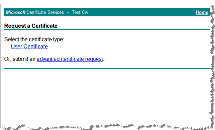 Microsoft Certificate Services Request a Certificate page with a Select the certificate type link as well as a link to submit an advanced certificate request